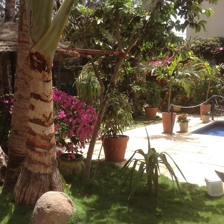 דקר Fana Hotel