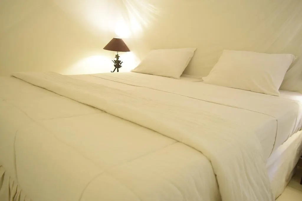 דקר Fana Hotel